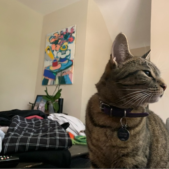 Meet your Posher, Emily - Picture 1 of 1